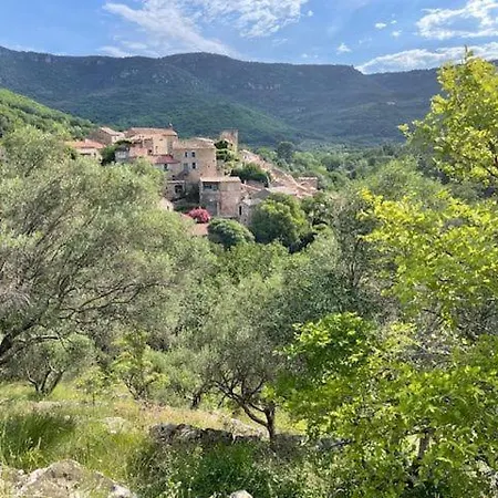 Des Arpents Verts Casa vacanze Saint-Privat (Herault)