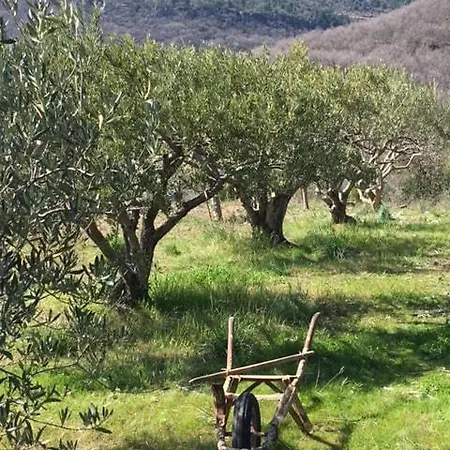 Des Arpents Verts Saint-Privat (Herault)