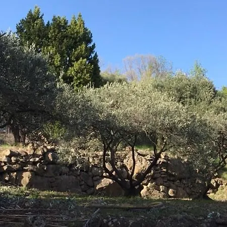 Des Arpents Verts Сasa de vacaciones Saint-Privat (Herault)